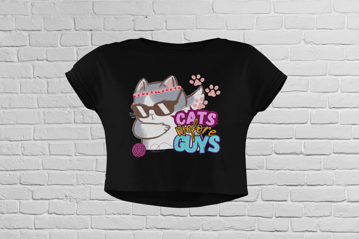 Cats B4 Guys Dabbing Crop Top