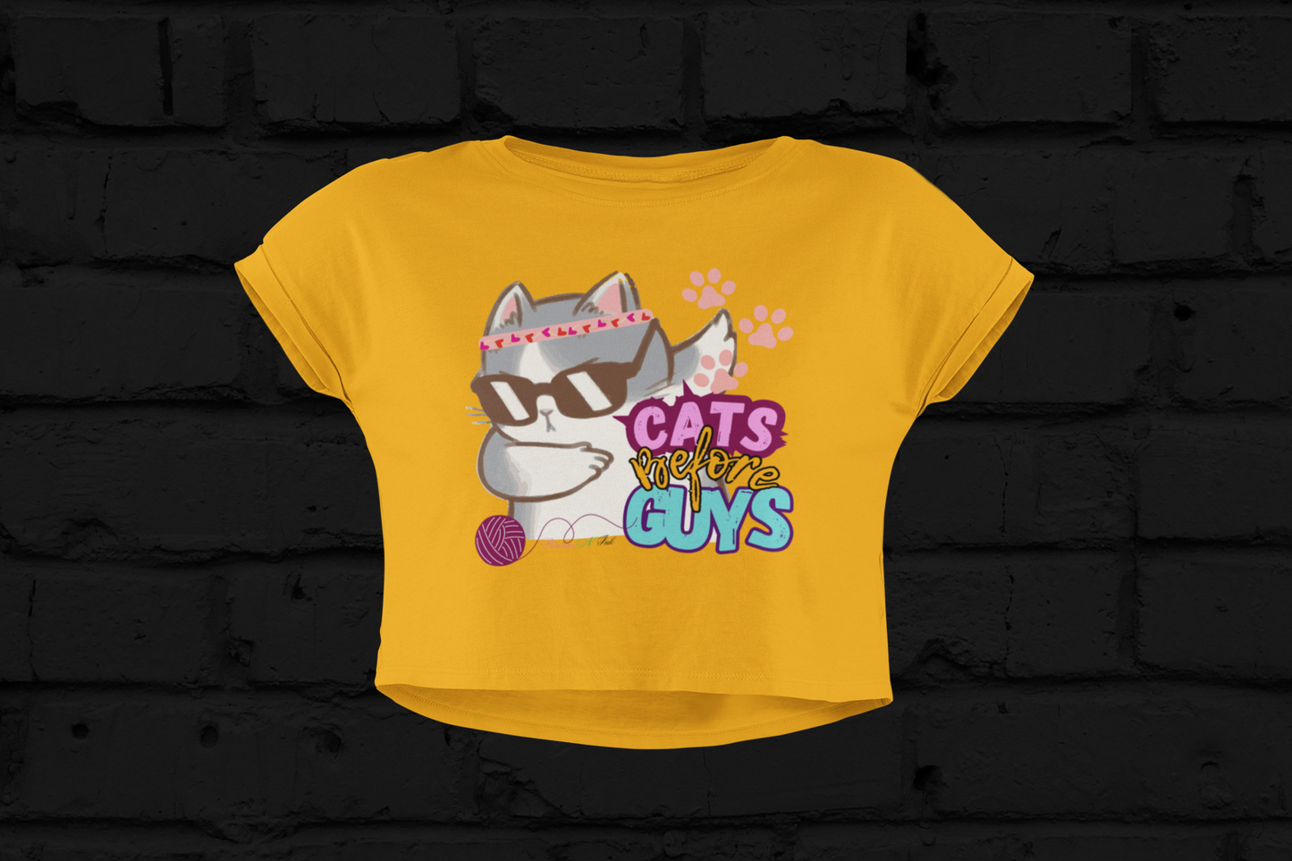 Cats B4 Guys Dabbing Crop Top