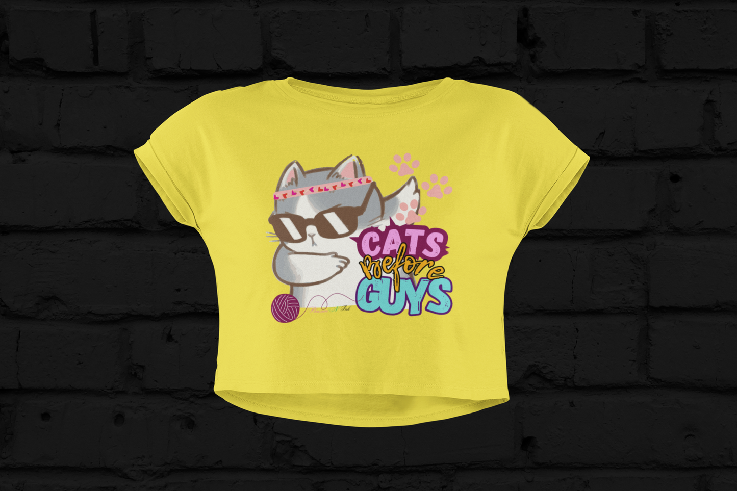 Cats B4 Guys Dabbing Crop Top